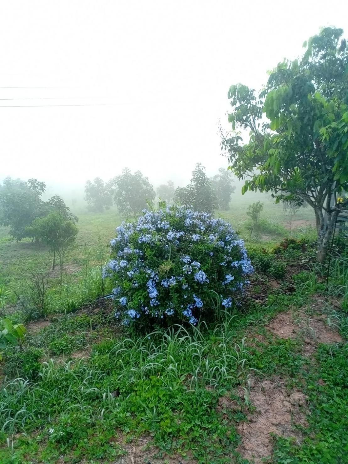 Phu Aram Khao Kho Resort 외부 사진