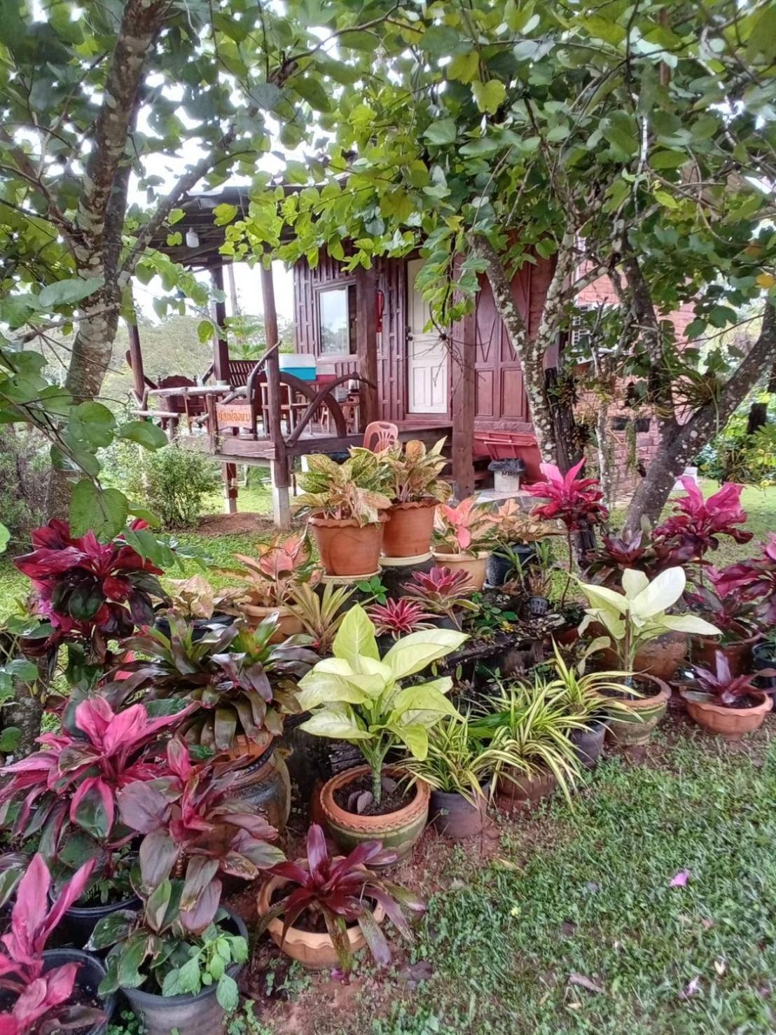 Phu Aram Khao Kho Resort 외부 사진